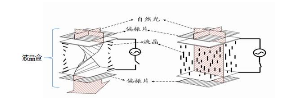 液晶盒及內(nèi)部晶體.png